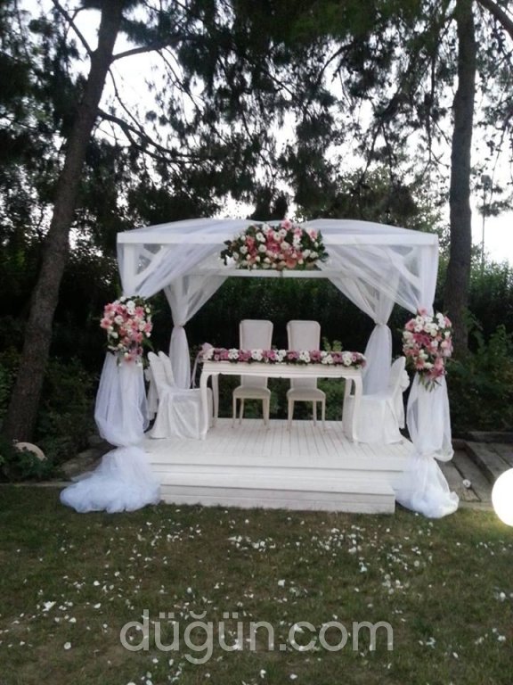 Konsept Organizasyon