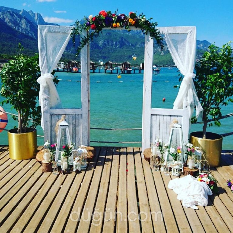 Konsept Organizasyon