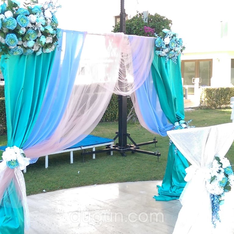 Konsept Organizasyon