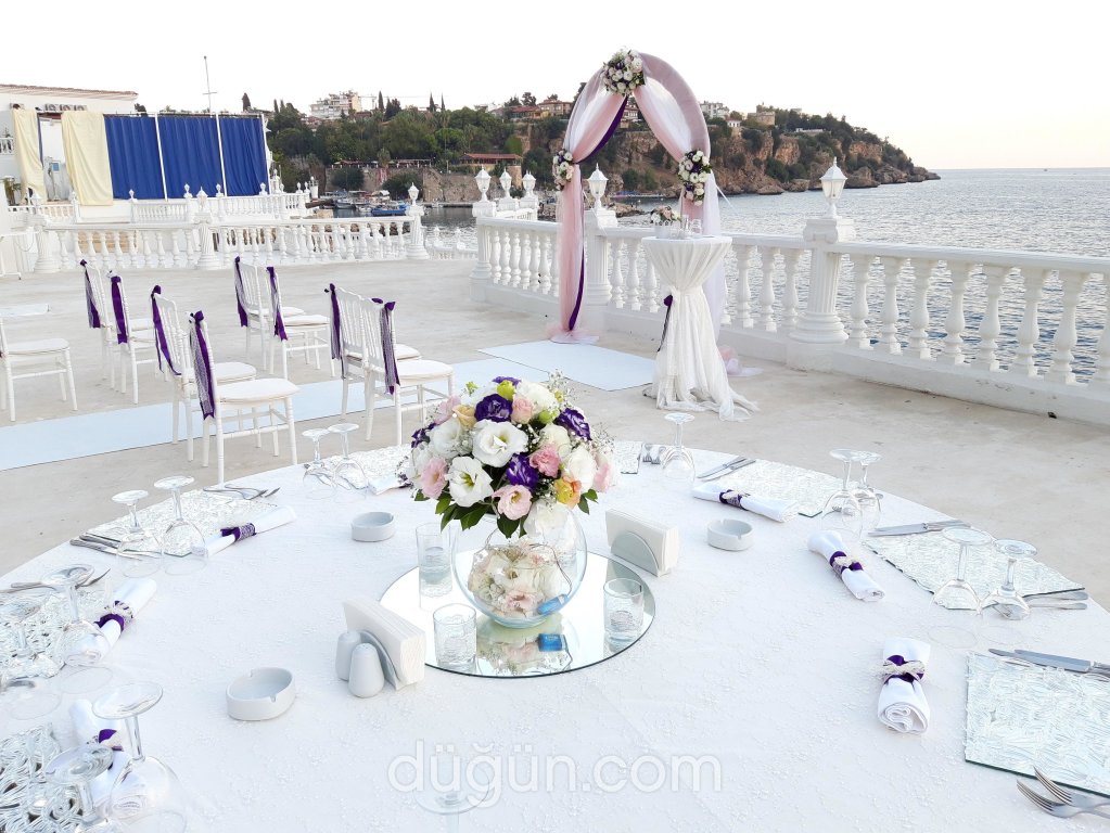 Konsept Organizasyon