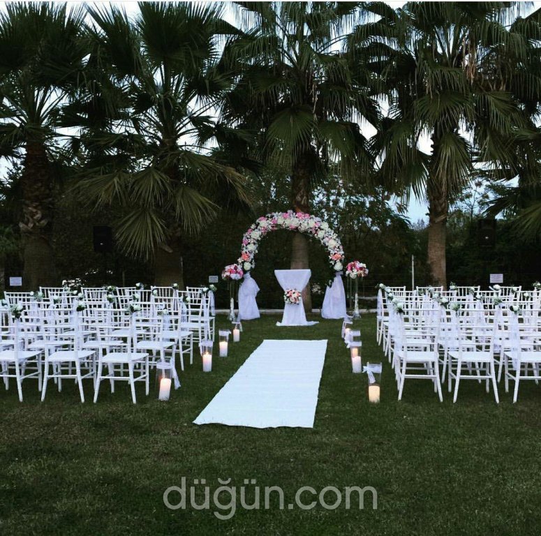 Konsept Organizasyon