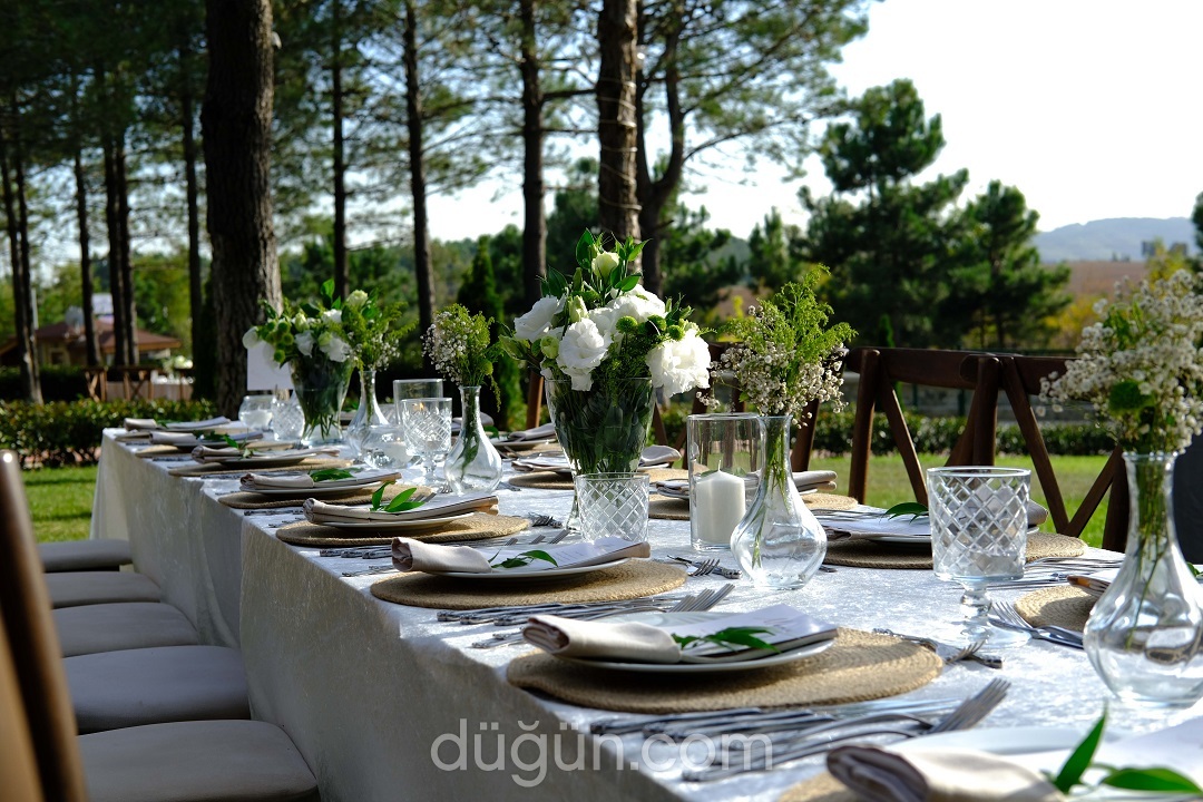 Kırkubbe Göktürk