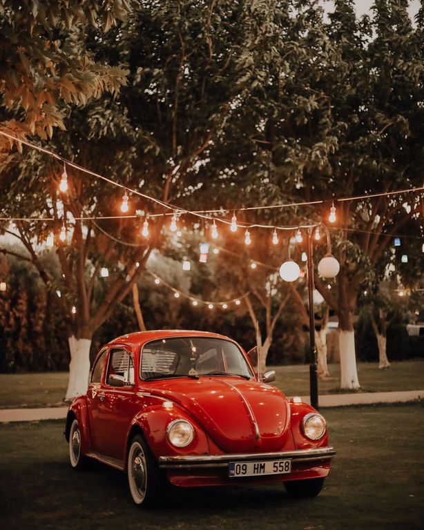 Sarı Zeybek Kır Düğün Salonu