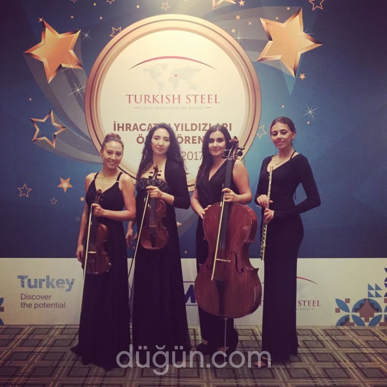 MüzisyenBul Organizasyon