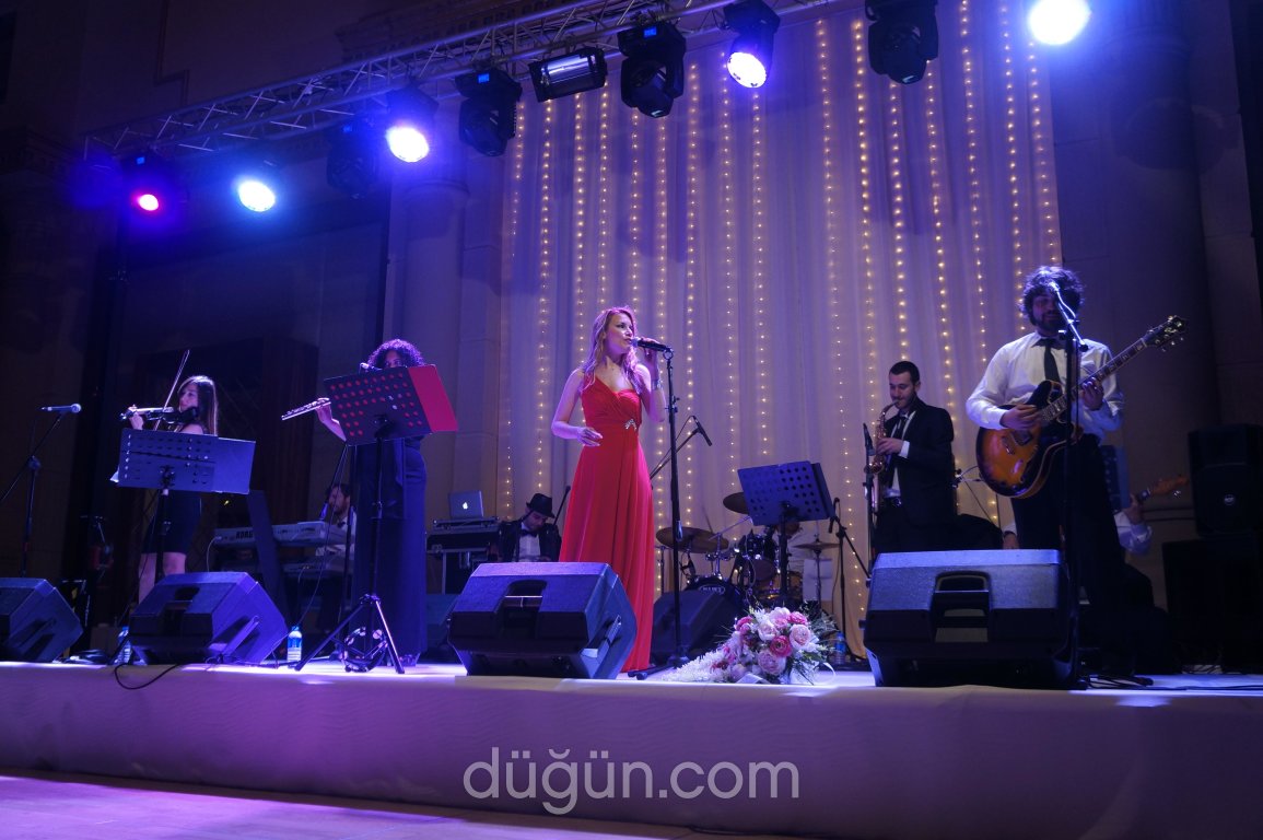 MüzisyenBul Organizasyon