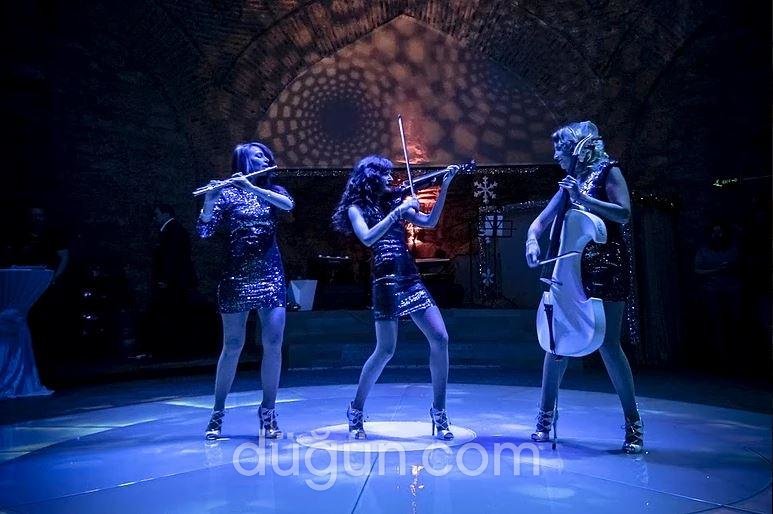 MüzisyenBul Organizasyon