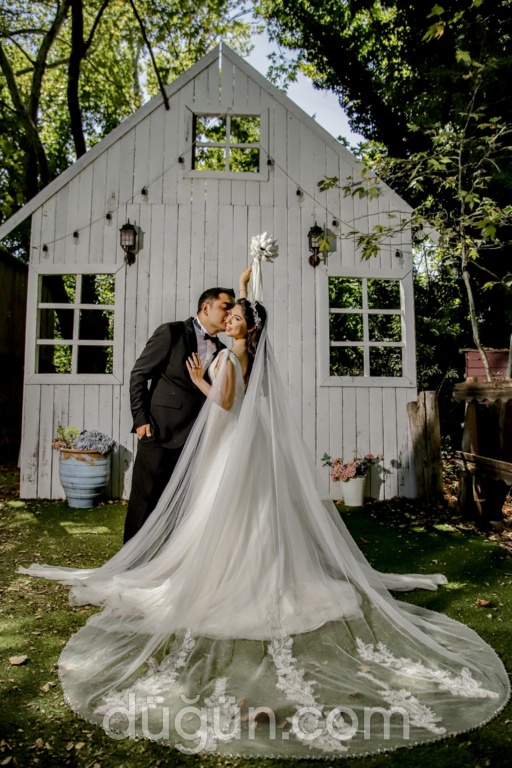 Ali Şen Fotoğrafçılık