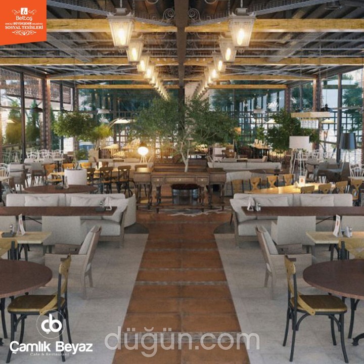 Beyaz Cafe - BELTAŞ