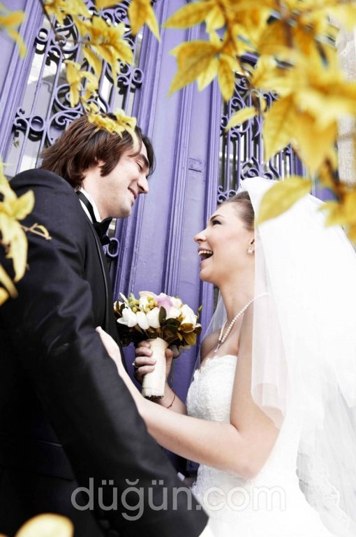 Mina Creative Studio