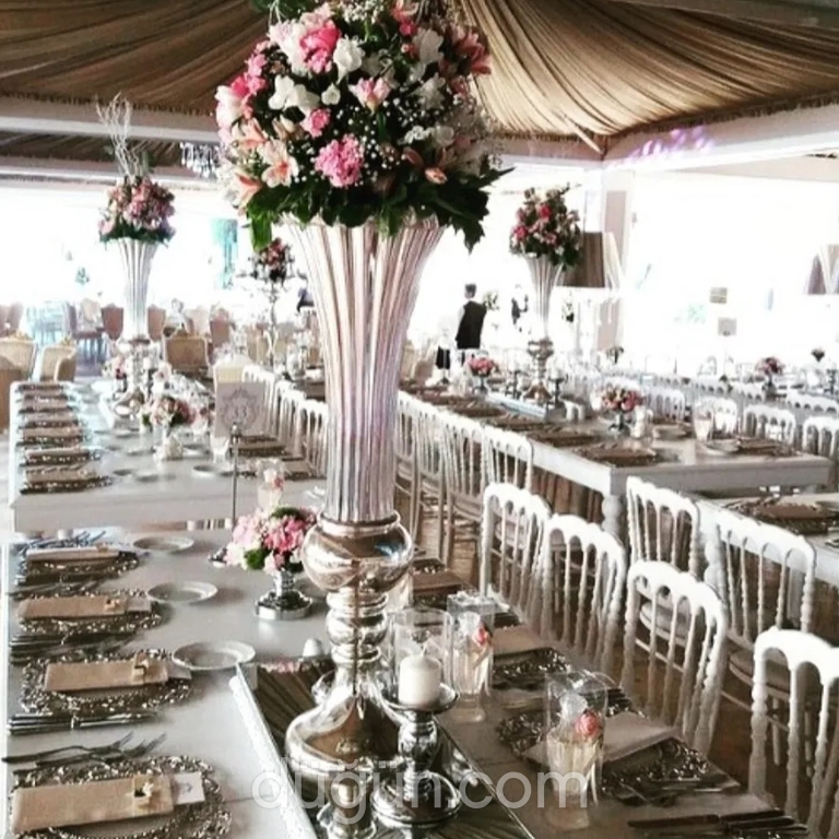 Bellatrix Event & Organization