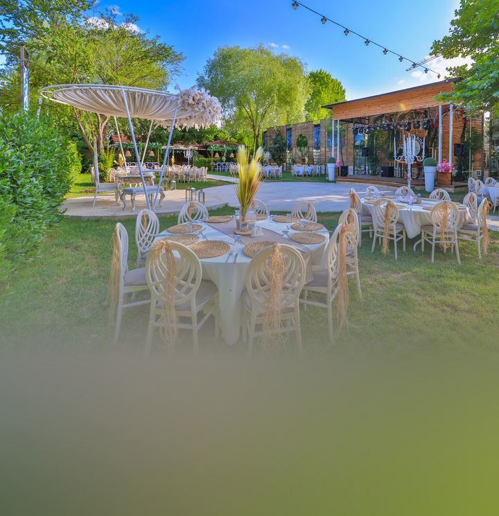 Elisa Garden