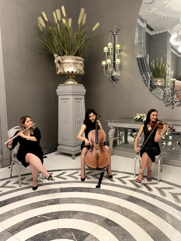 Başar Sayılgan Orkestrası