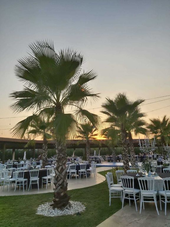 Kayalar Düğün Davet