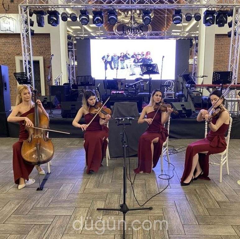 Lady Quartet