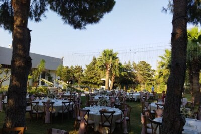 Three Palm Event & More image