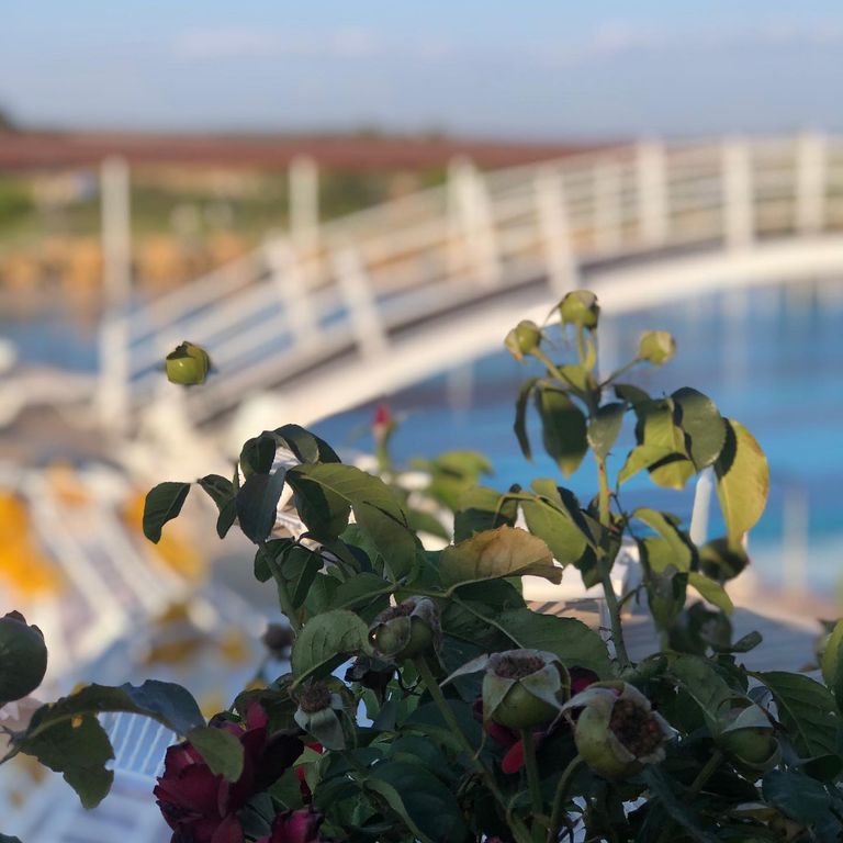 Hayal Yüzme Havuzları