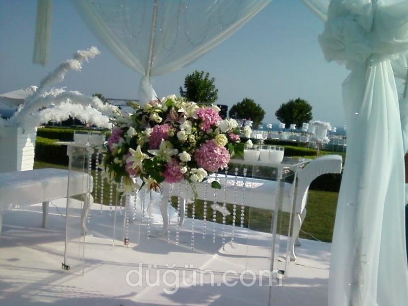 Antalya Events Organizasyon Danışmanlık Hizmetleri