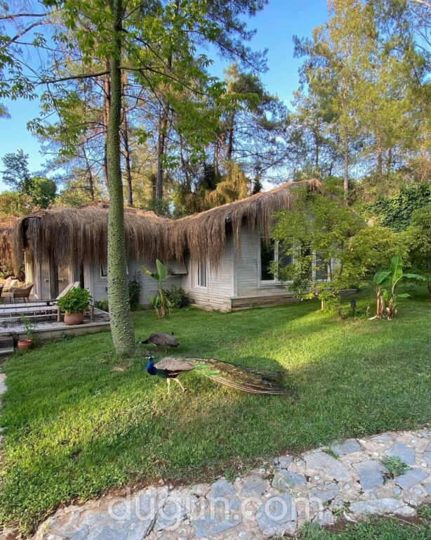 Golden Key Bördübet