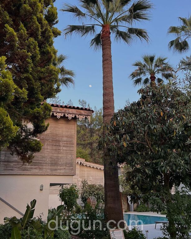 Golden Key Bördübet