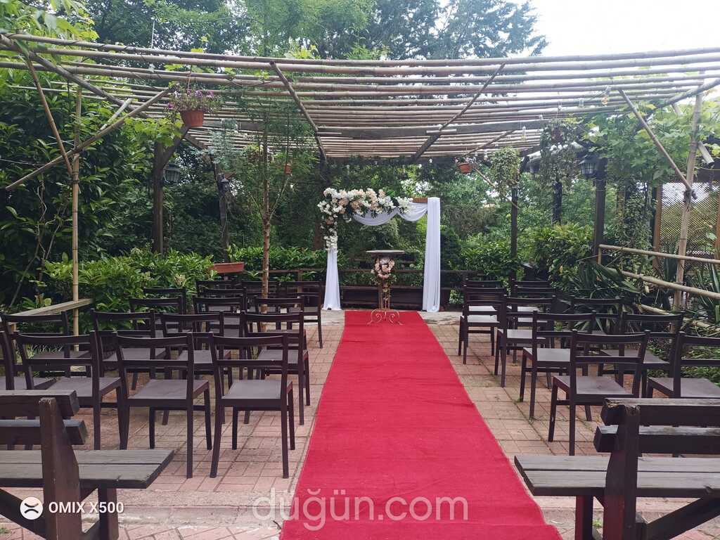 Oluşum Organizasyon 