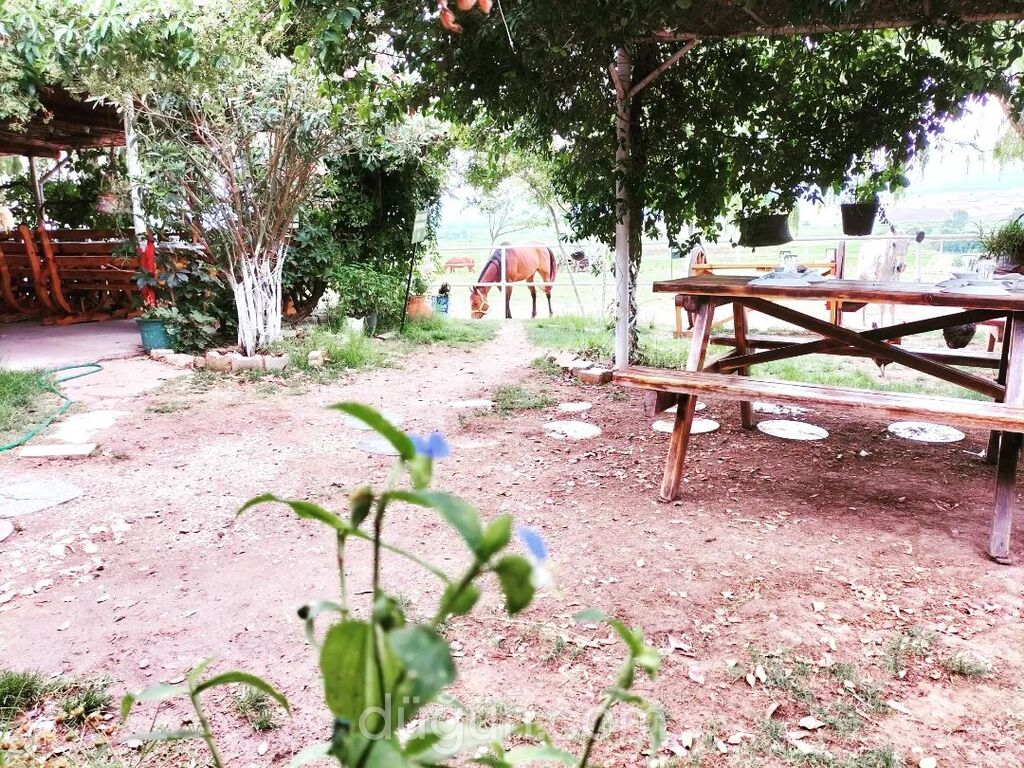 Bigarden Fiyatları - Kır Düğünü Çanakkale