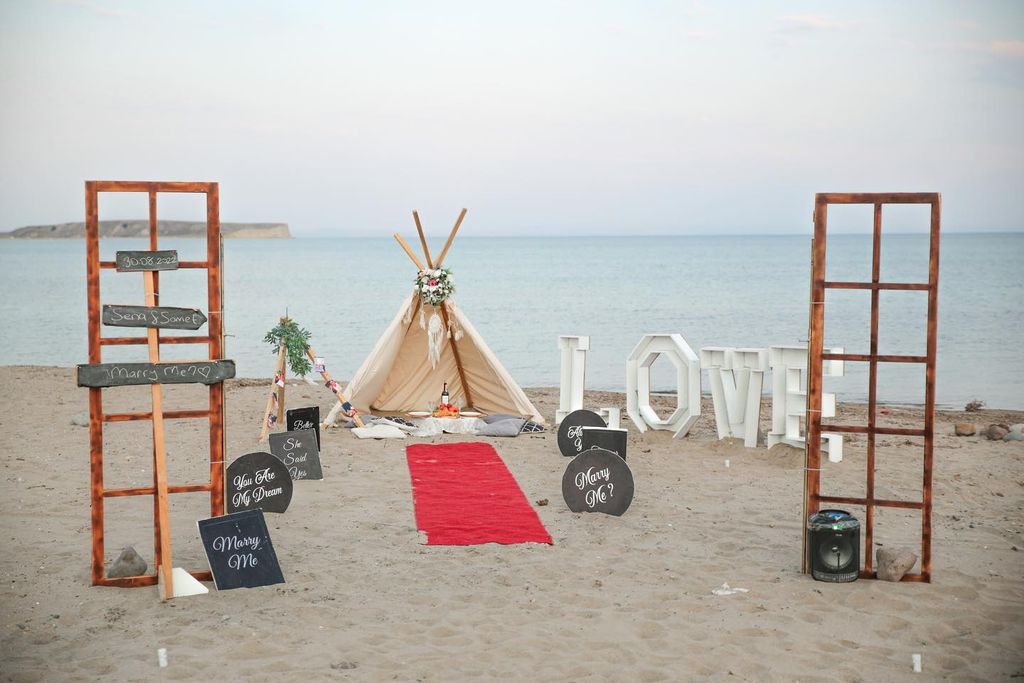 Mor Fikir Organizasyon