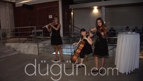 Mr Music Ses Işık Sistemleri