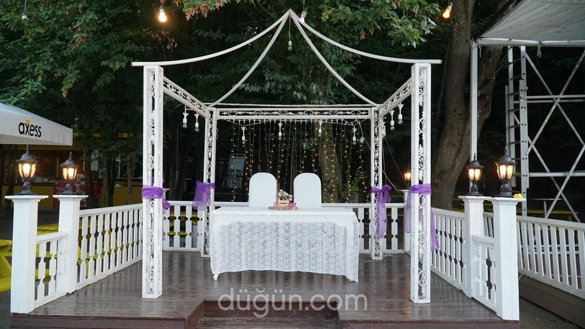 40 Gece by Ayşe Teyze