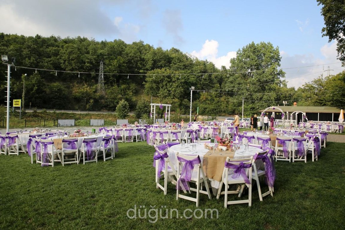 40 Gece by Ayşe Teyze