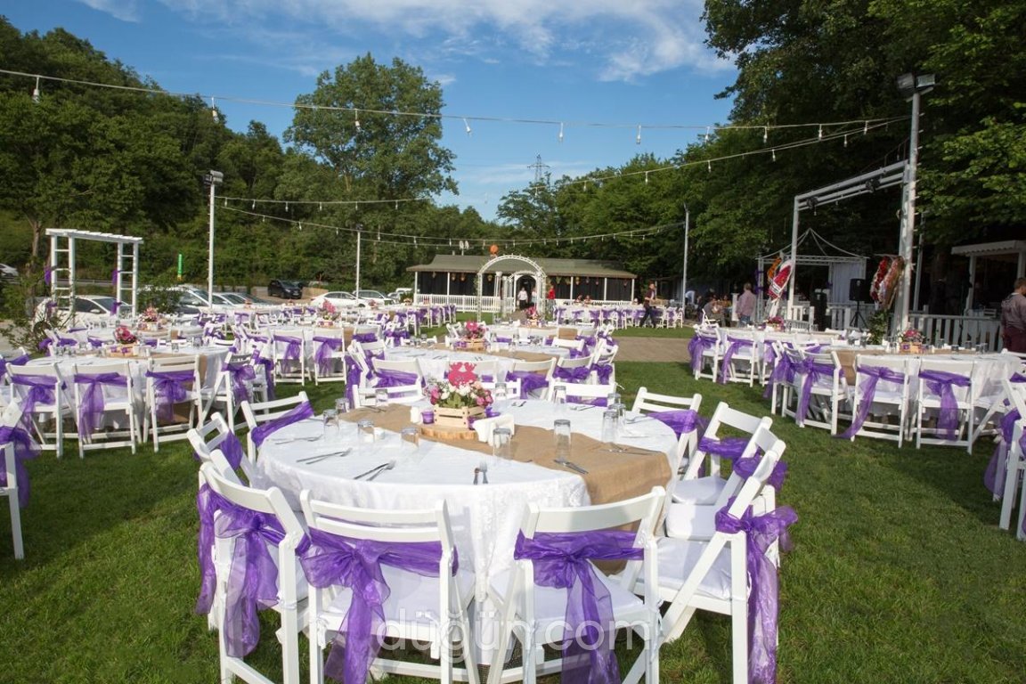 40 Gece by Ayşe Teyze