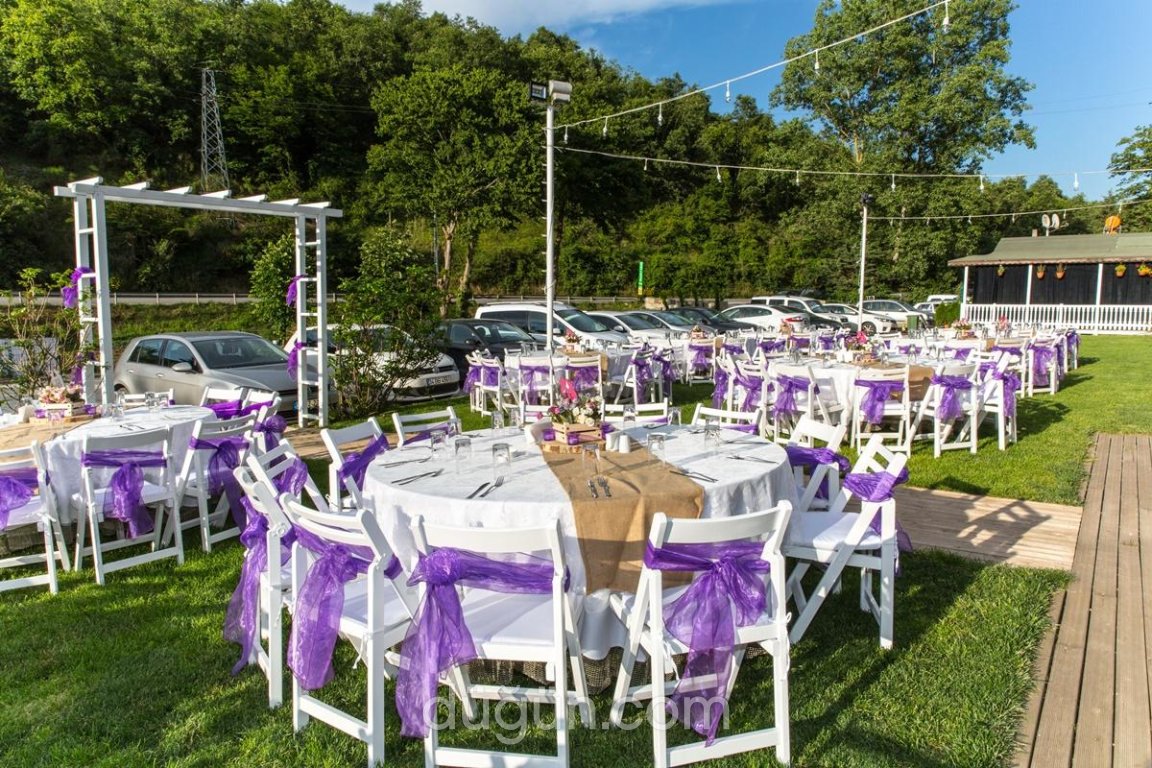 40 Gece by Ayşe Teyze