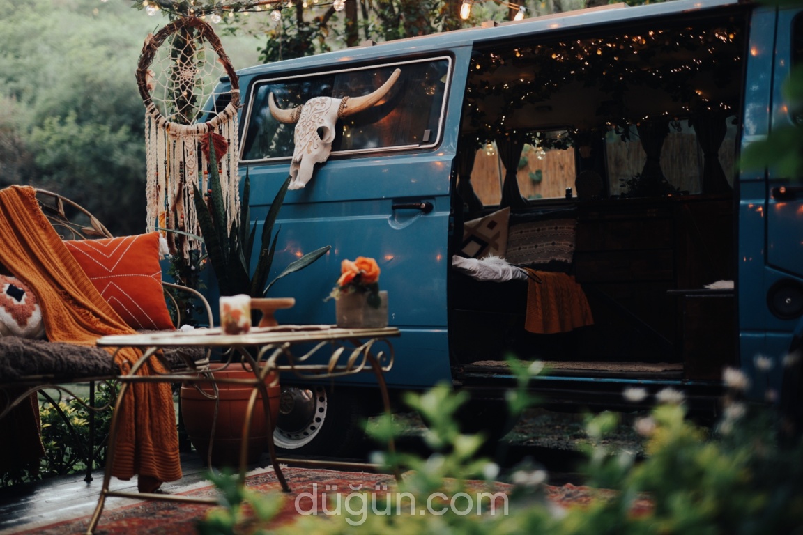 Poli Vanlife