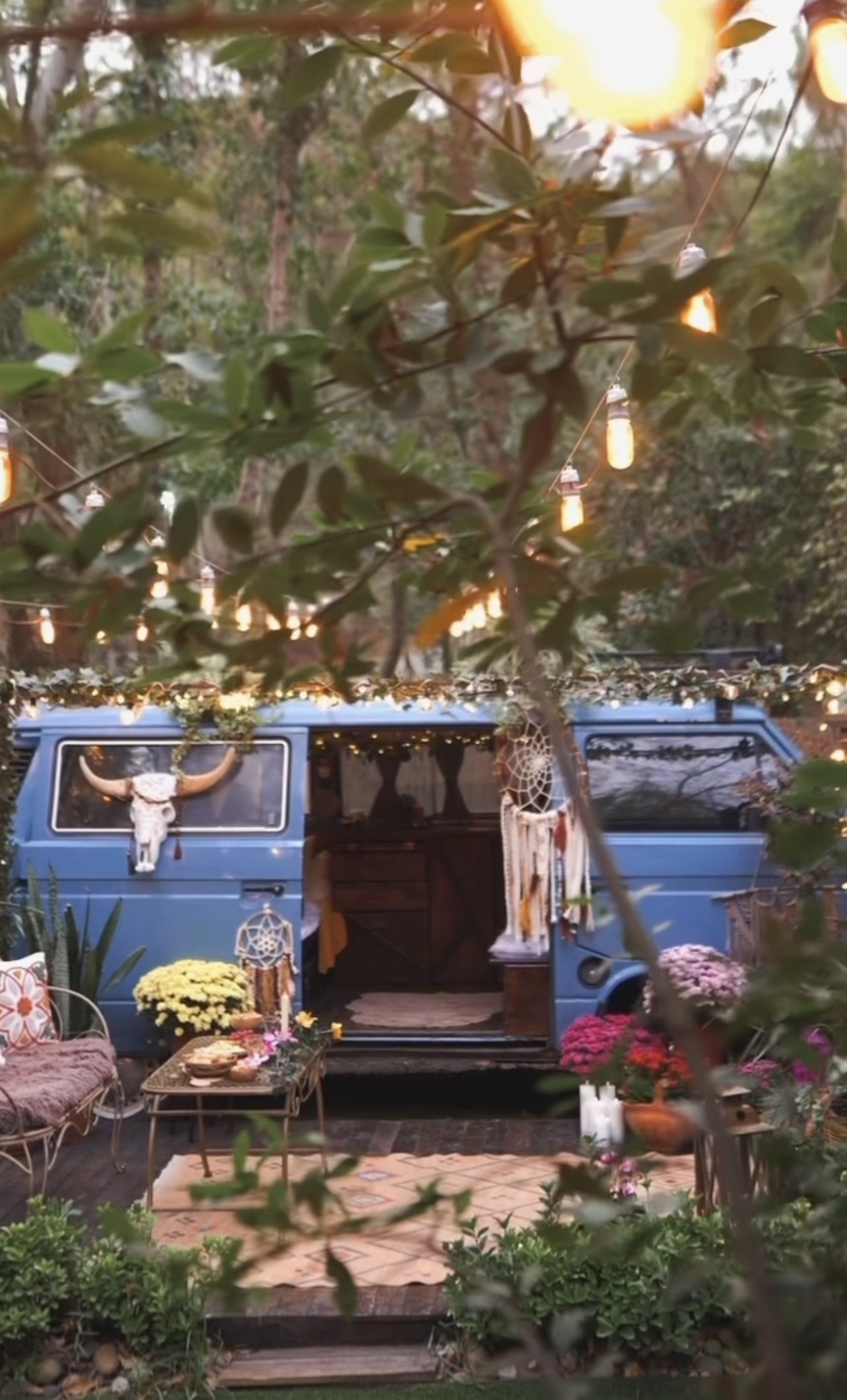 Poli Vanlife