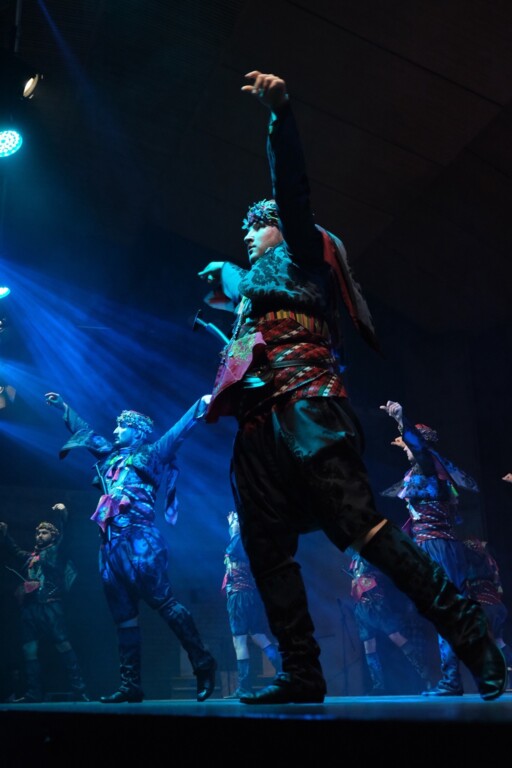 Showtime Performans Gösteri Sanatları