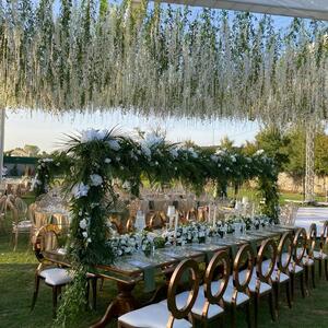 Riva's Club Well Garden