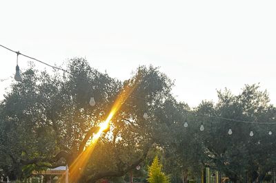 Bereket Çiftliği Renkli Bahçe