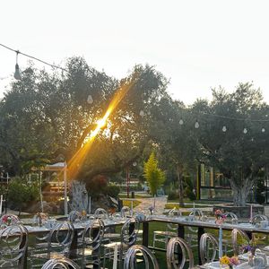 Bereket Çiftliği Renkli Bahçe