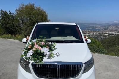 Transporting Vip Transfer