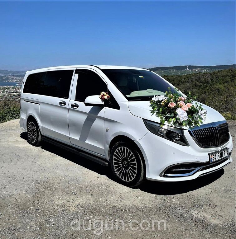 Transporting Vip Transfer