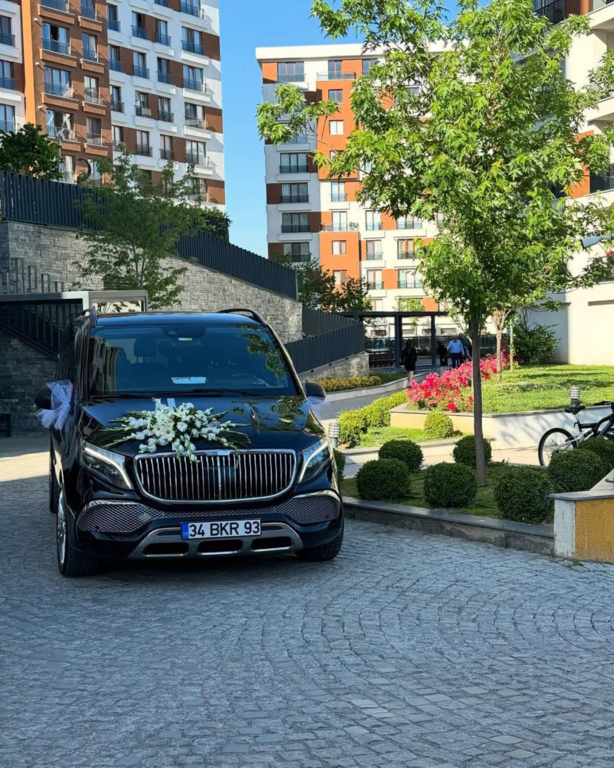 Transporting Vip Transfer