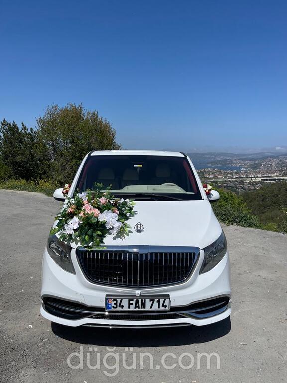 Transporting Vip Transfer