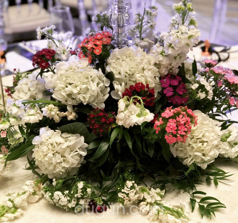 Diba Davet Organizasyon