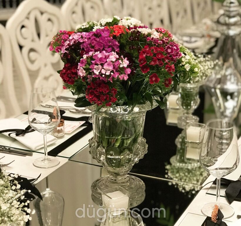 Diba Davet Organizasyon