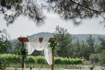 Mor Salkım Bağları