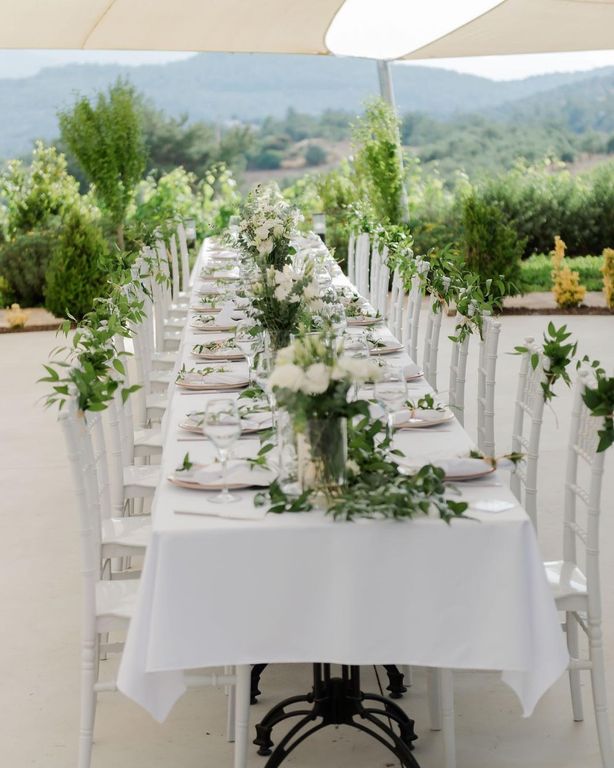 Mor Salkım Bağları