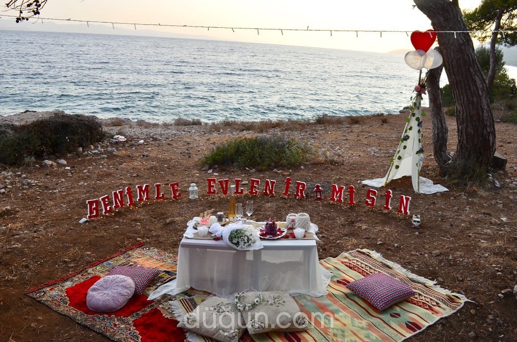 Ahsence Organizasyon