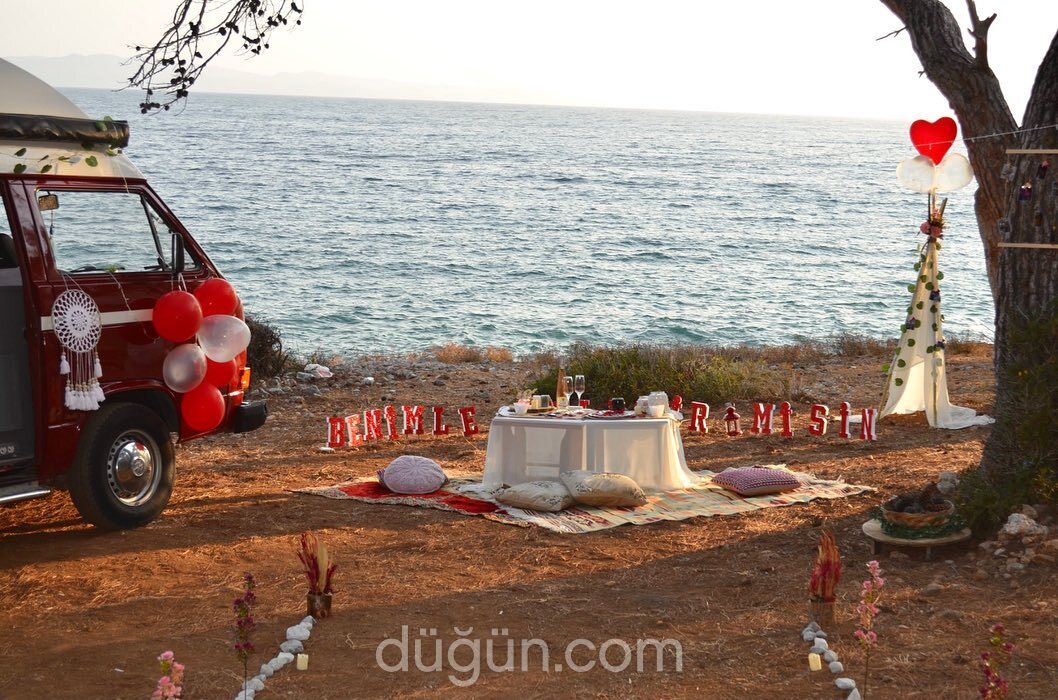 Ahsence Organizasyon