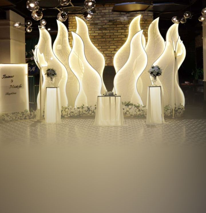 Birüyam Organizasyon