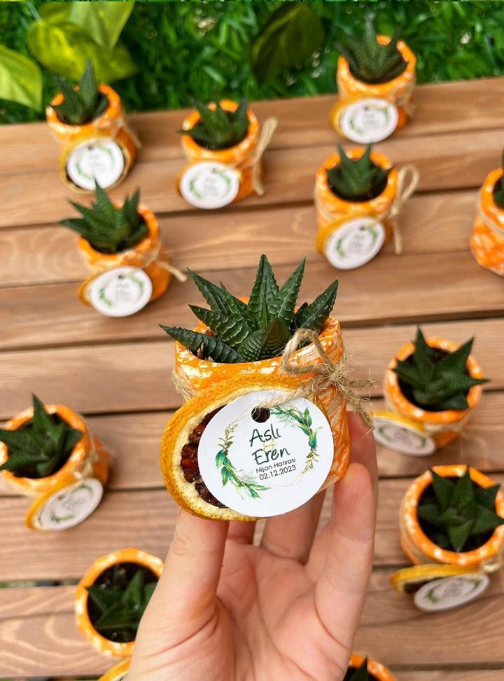 AN-3-26 Tohum/fidan Söz - Nişan Hediyelik