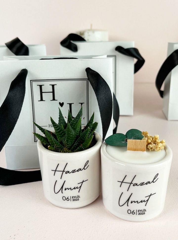 AN-20-26 Mum Tohum/fidan Nikah Hediyelik